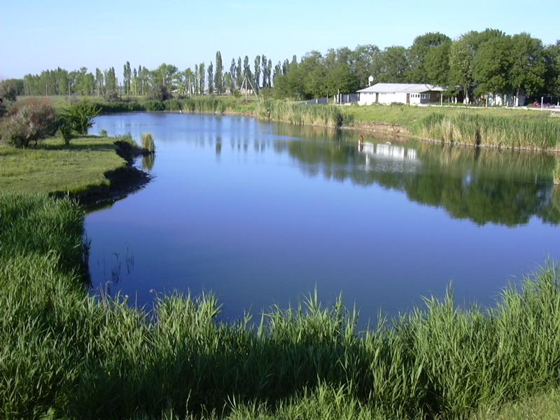 Милицейский ставок фото авторов сайта