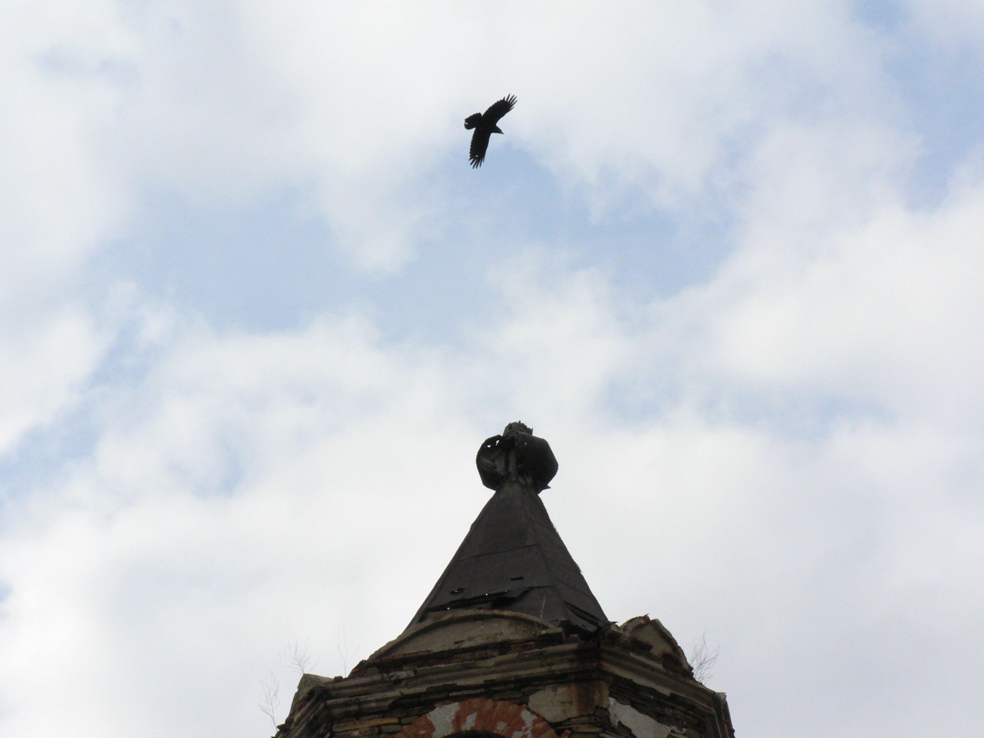 Ворон кружит над старым храмом в хуторе Волченский авторы сайта